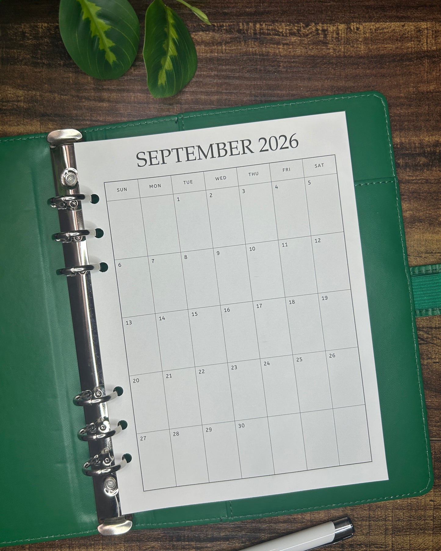 Calendar 2025/2026 SUN