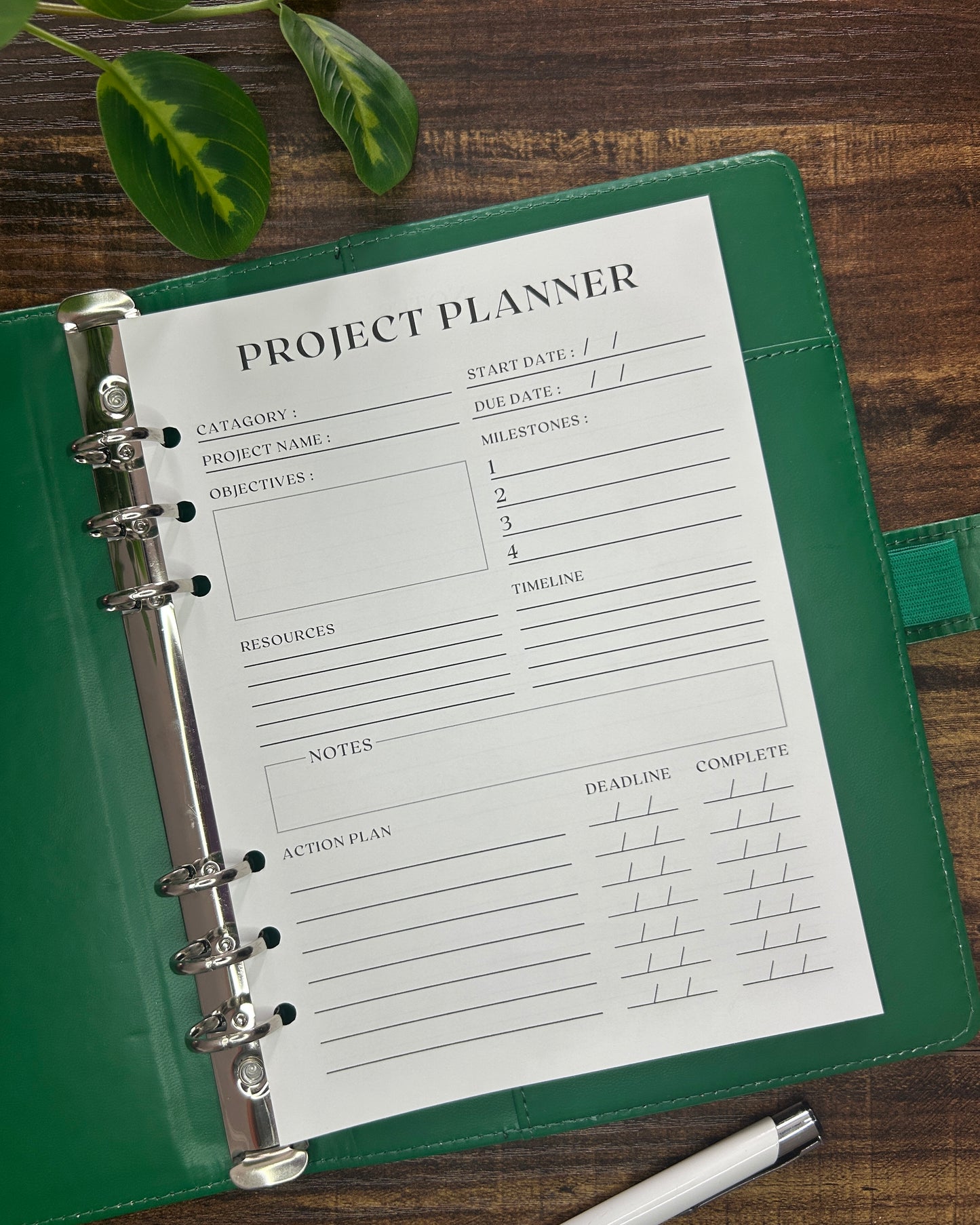 Project planner