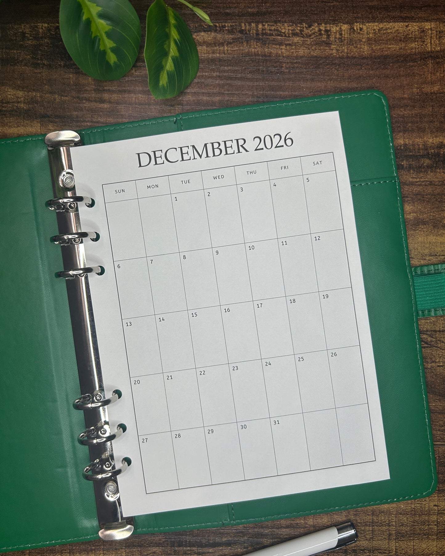 Calendar 2025/2026 SUN