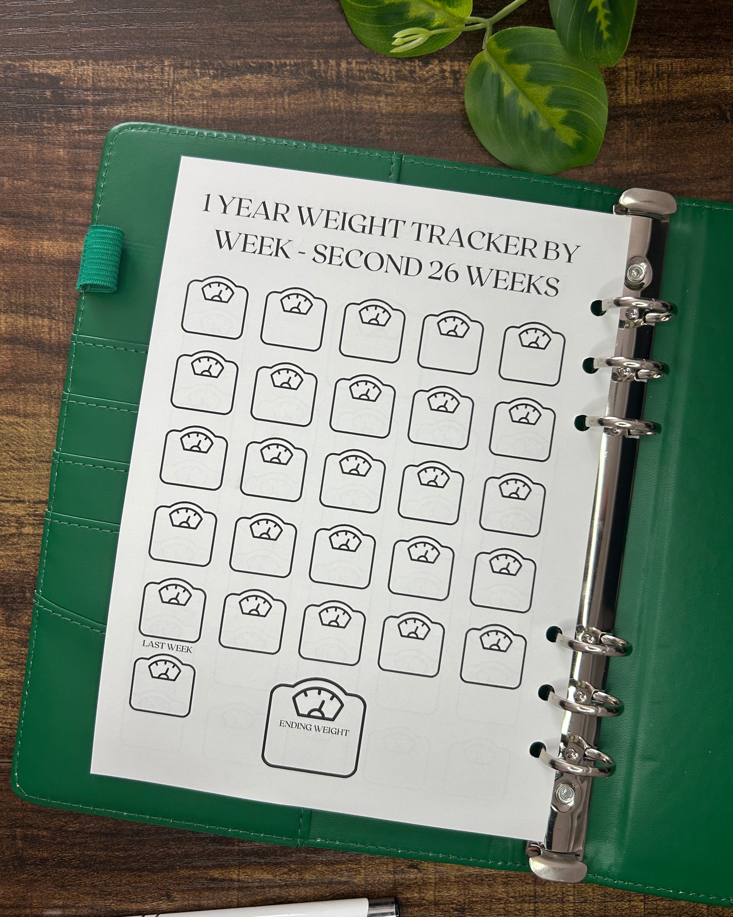 Weight tracker