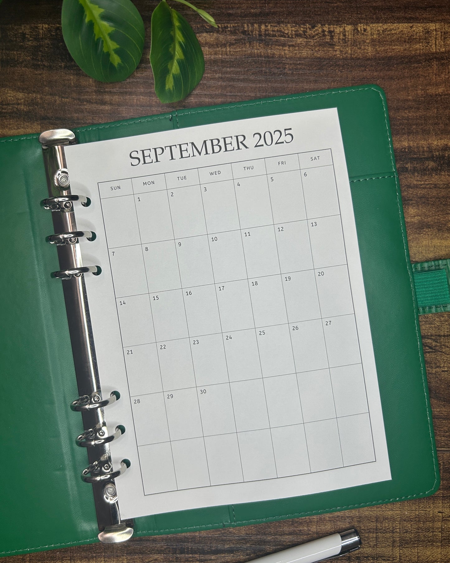 Calendar 2025/2026 SUN